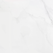 Tampa 24×48