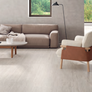 Travertine Silver